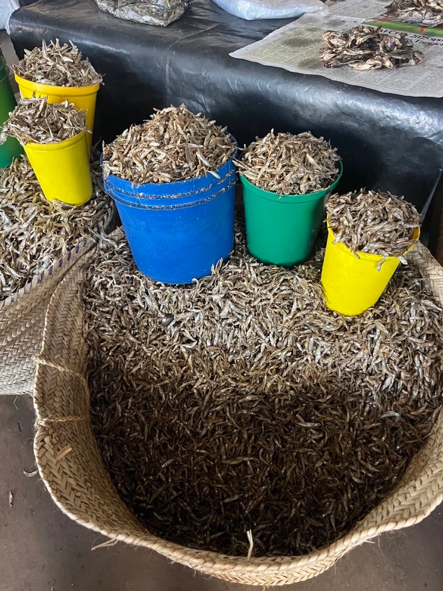 Dried small fish displayed in colorful buckets and woven baskets at a Tanzanian market