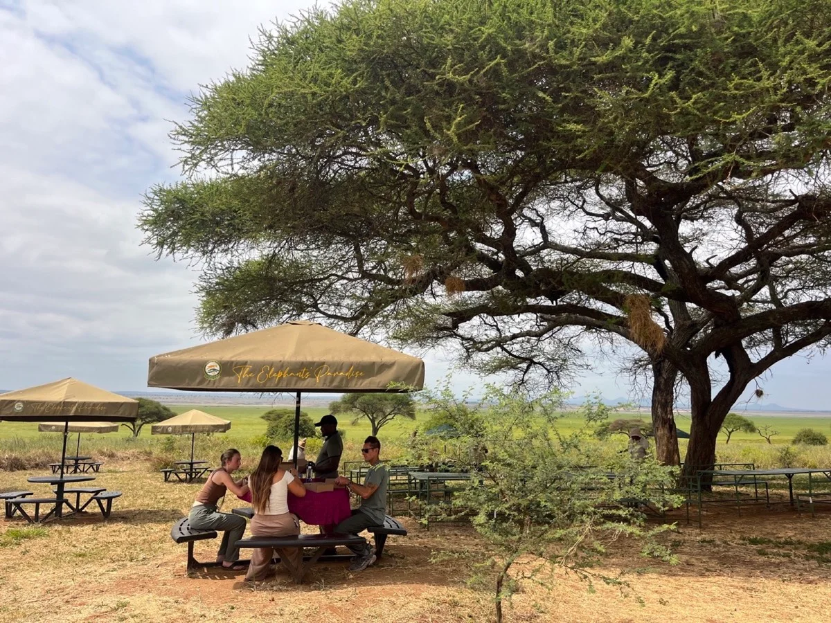 The local team and travelers sharing a safari picnic beneath an acacia tree