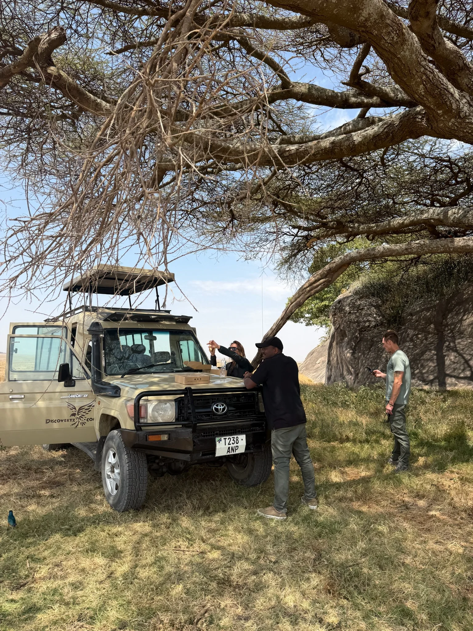 DiscoverTZ travelers and their guide beside a safari vehicle beneath an acacia tree
