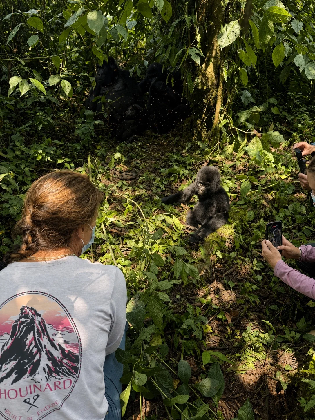 Travelers quietly observing a gorilla family in the forest