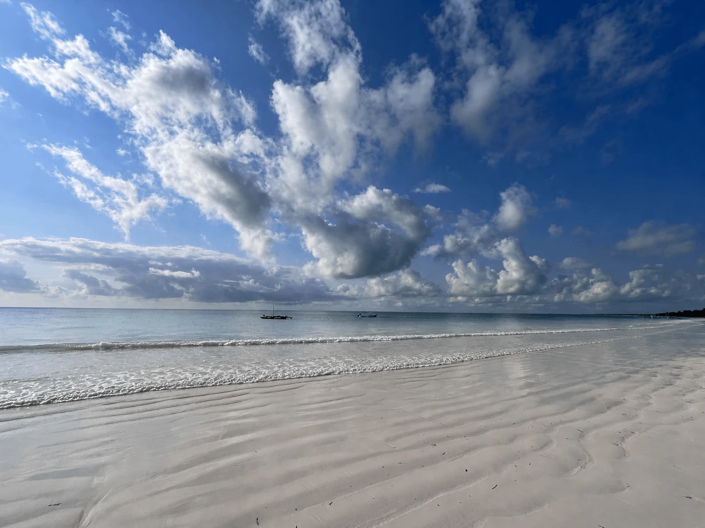 A bright white-sand Zanzibar beach with a level ocean horizon