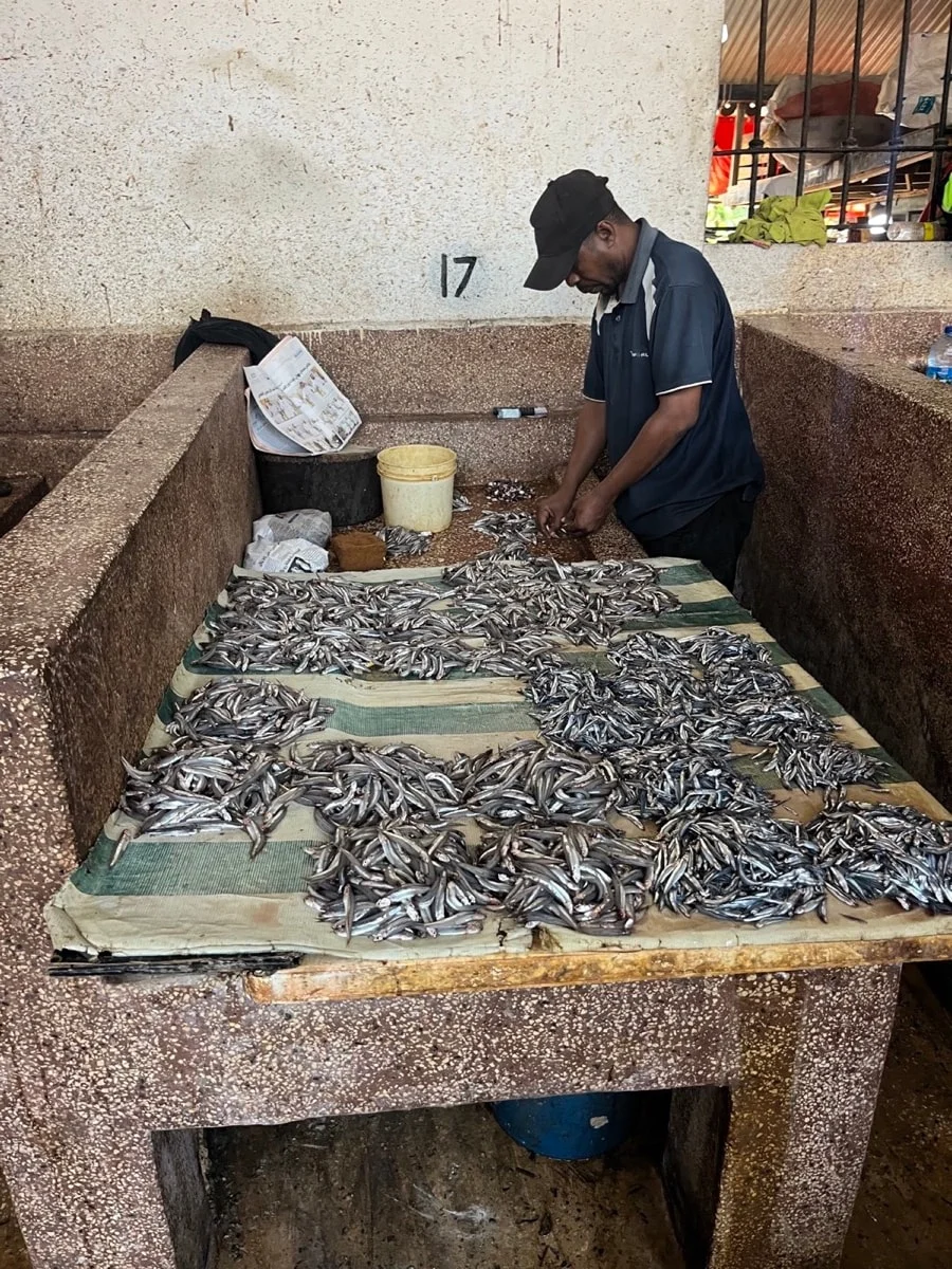A fishmonger sorting small silver fish at a Zanzibar market