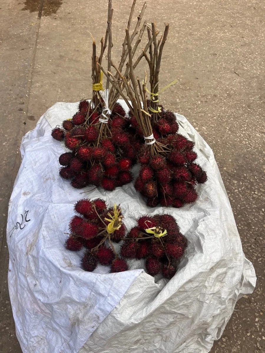 Bundles of deep red rambutans displayed at a Zanzibar market